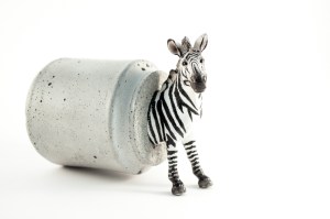 Animal Farm by Altrosguardo