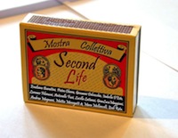 mostra second life copertina