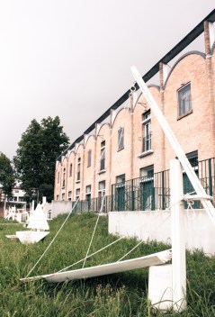 Gaurus by Altrosguardo